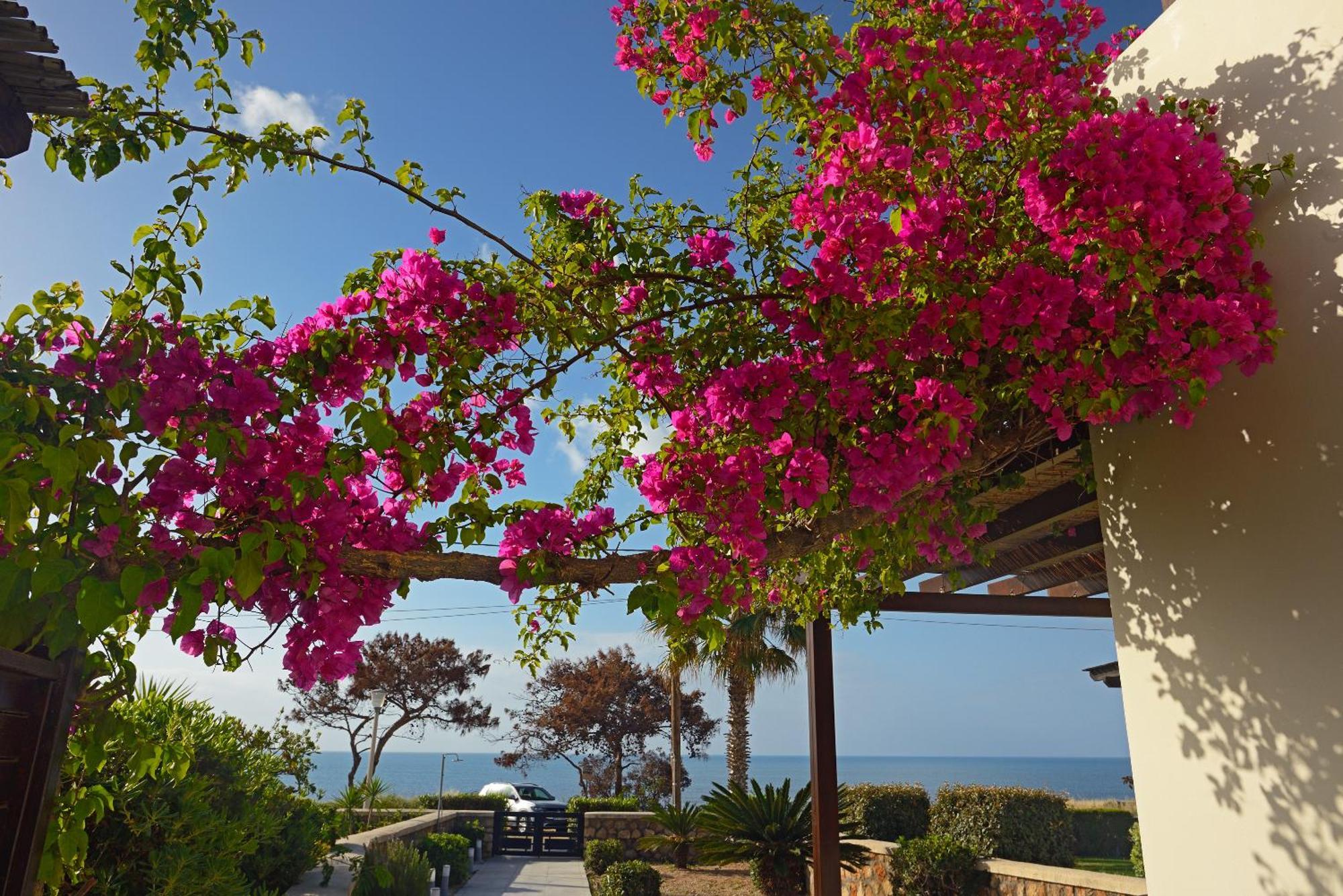 Villa Sunrise By The Sea Kiotari Ngoại thất bức ảnh